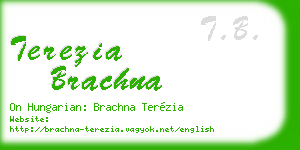 terezia brachna business card