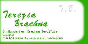 terezia brachna business card